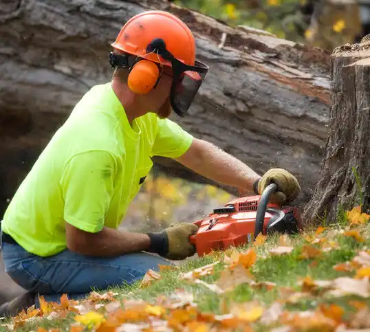 tree services Luckey